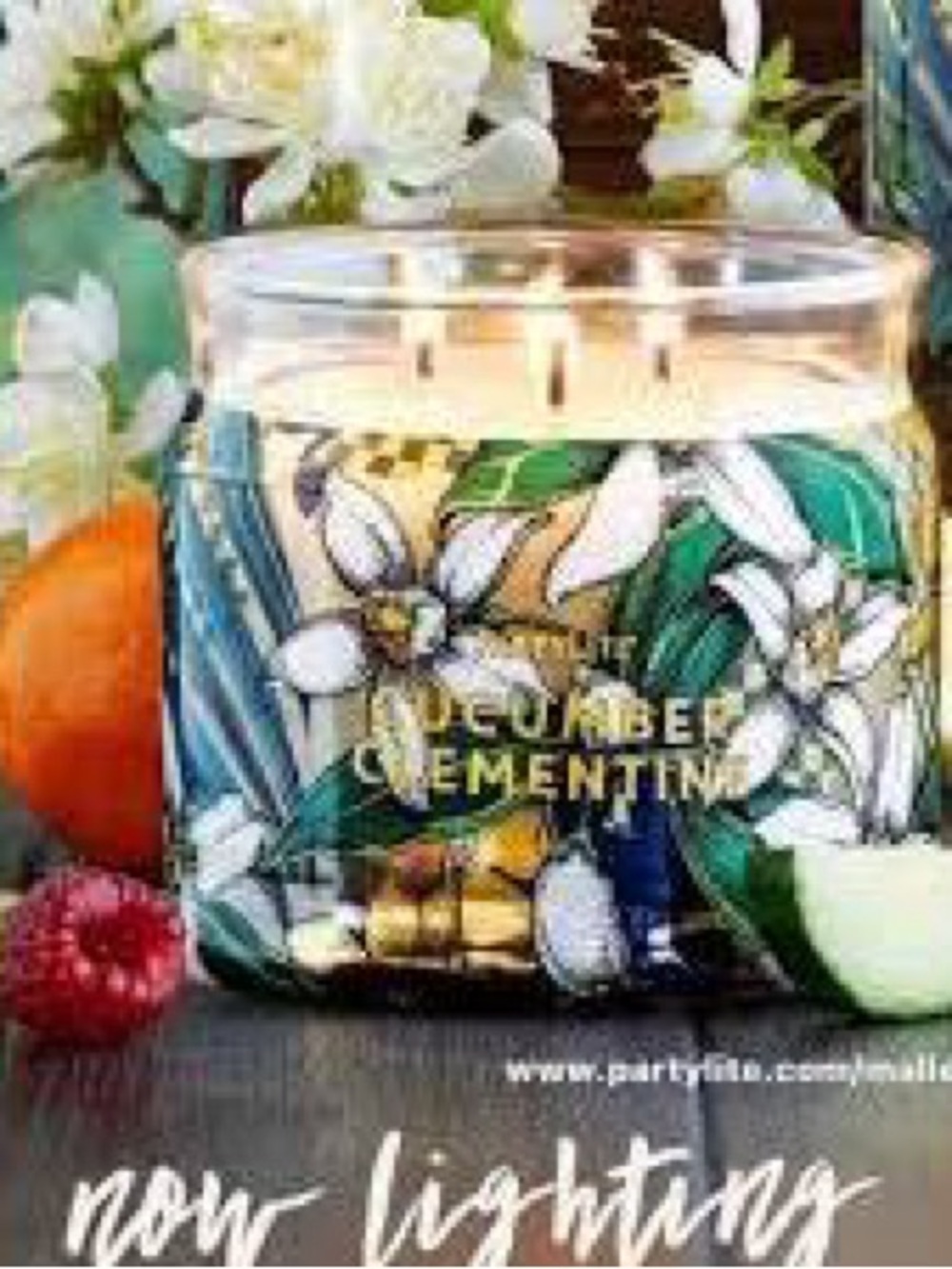 PartyLite Candle 3 -Wick Jar CUCUMBER CLEMENTINE Fruity